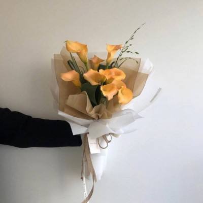 亚搏官网入口app